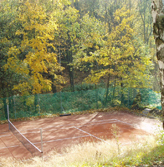 sport1_.jpg